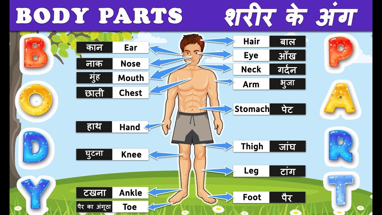 Body parts for kids | Parts of the body in Hindi | शरीर के अंगों के नाम | Body parts in English