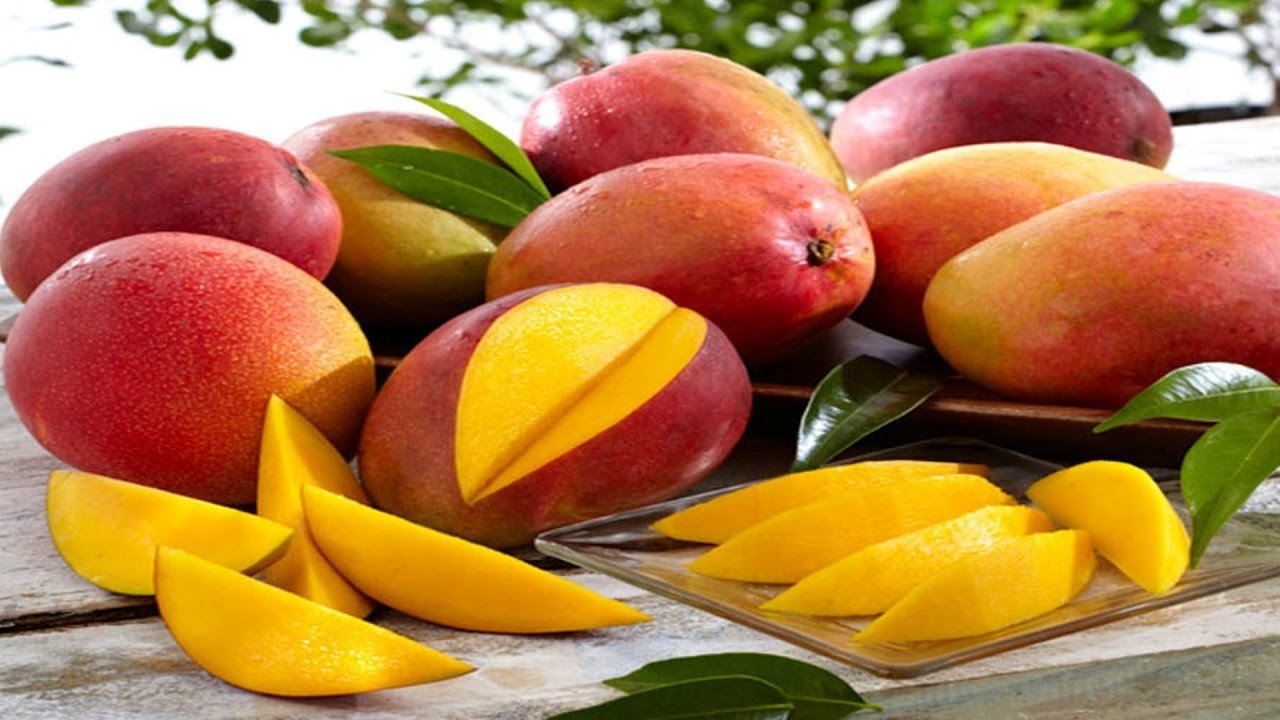 आम के बारे में कुछ मजेदार जानकारी  Mango Fun Facts