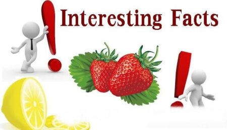 सोच के बारे में रोचक तथ्य । Interesting facts about thinking in Hindi