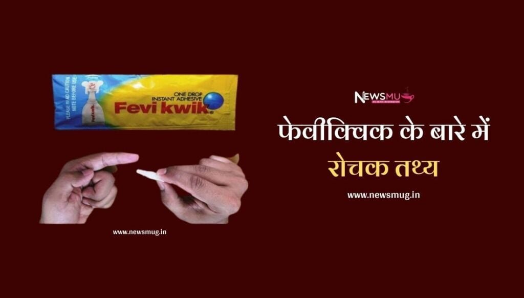 interesting-facts-about-faviquik-in-hindi