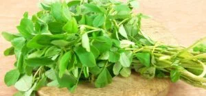 मेथी की भाजी खाने से क्या लाभ होता है? — News Mug benefit-of-eating-fenugreeks-vegetable-in-hindi
