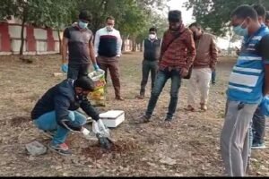 bird-flu-knocked-in-nagda-15-crows-found-dead-on-first-day