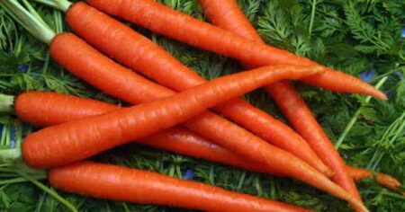 ghar-par-kaise-banaye-gajar-ki-cream-how-to-make-carrot-cream-at-home