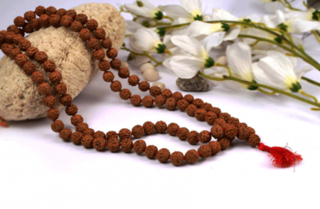 Benefits Of Rudraksha: जानें रुद्राक्ष पहनने के बेजोड़ फायदे know-the-unique-benefits-of-wearing-rudraksha
