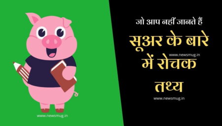 सूअर के बारे में 25 रोचक तथ्य । Pig In Hindi interesting-fact-about-ping-in-hindi