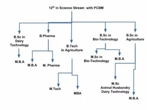 12-ke-baad-kya-karen-hindi