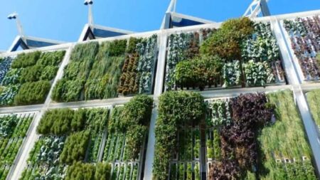 vertical-farming-method-in-hindi