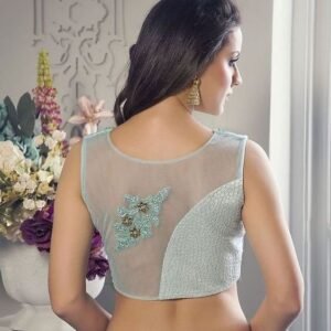 Transparent-Back-Blouse-Design