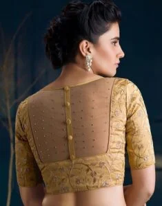 Box-Pattern-Transparent-Back-Blouse-Design