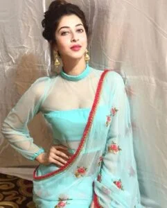 High-Neck-Transparent-Blouse-Design