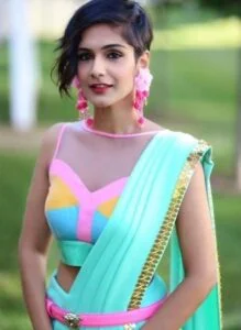 V-Shape-Blouse-Design