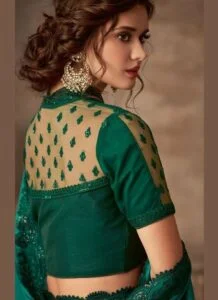 Collar-Neck-Transparent-Blouse-design