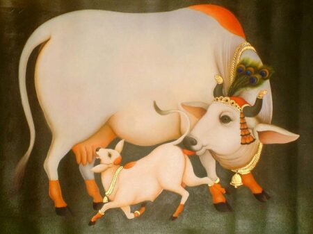 गाय का पूरा शरीर देव भूमि हैं, जानें क्यों ? cows-entire-body-is-dev-bhoomi-know-why