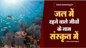 aquatic-water-animals-name-in-sanskrit