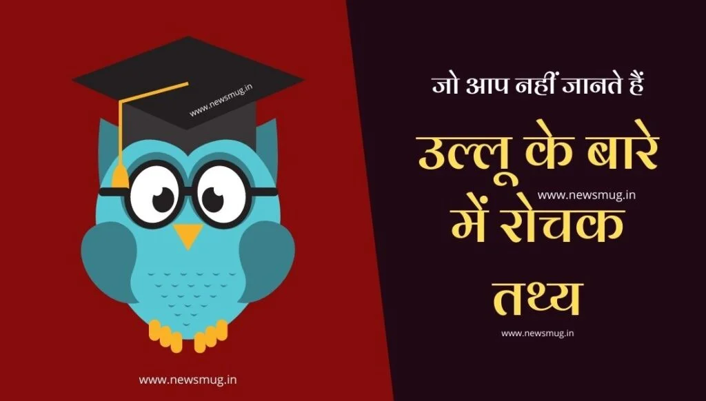 amazing-facts-about-owl-in-hindi