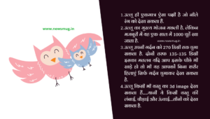 amazing-facts-about-owl-in-hindi