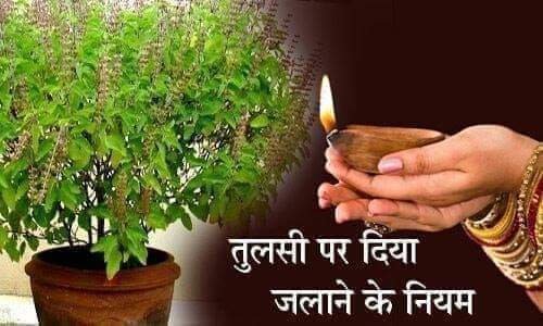 tulsi-per-diya-jalane-ka-niyam