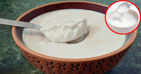 घर पर गाढ़ा दही जमाने की ये है आसान रेसिपी how-to-make-curd-at-home-in-hindi