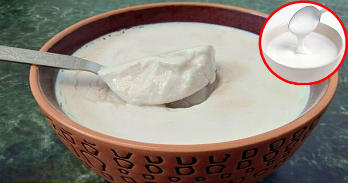 how-to-make-curd-at-home-in-hindi