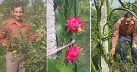 retired-colonel-harish-chandra-singh-started-the-cultivation-of-dragon-fruit-and-chia-seeds