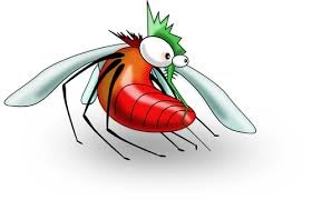 amazing-facts-about-mosquito-in-hindi