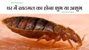 khatmal-ka-hona-shubh-ya-ashubh