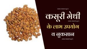 kasoori-methi-benefits-uses-side-effects-hindi