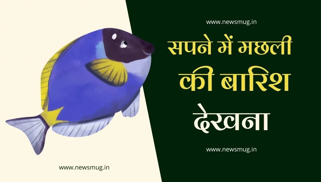 sapne-me-machli-ki-barish-dekhna