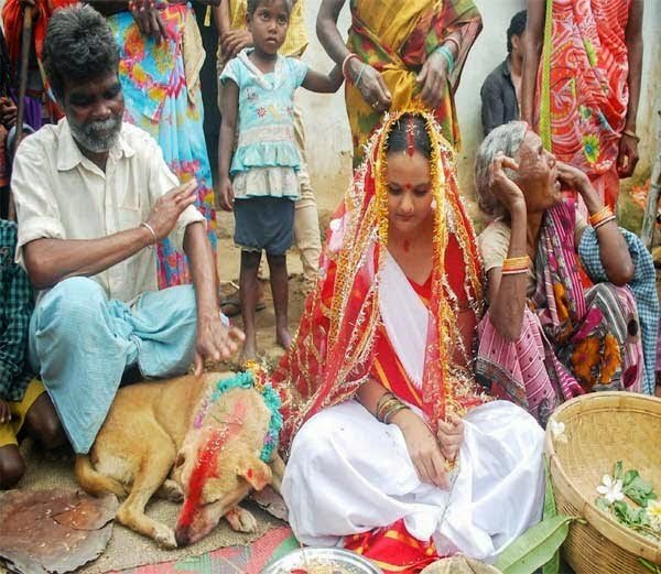 superstition-girl-marriage-with-dog-।-ladki-aur-kutte-ka-vivah