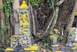 snake-temple-mannarasala-kerala-history-in-hindi