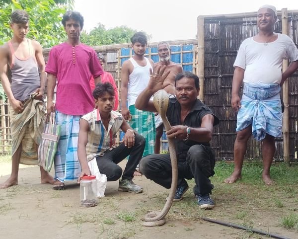 bihar-bhagalpur-kishanganj-panic-as-cobra-escapes-with-42-children-in-kishanganj