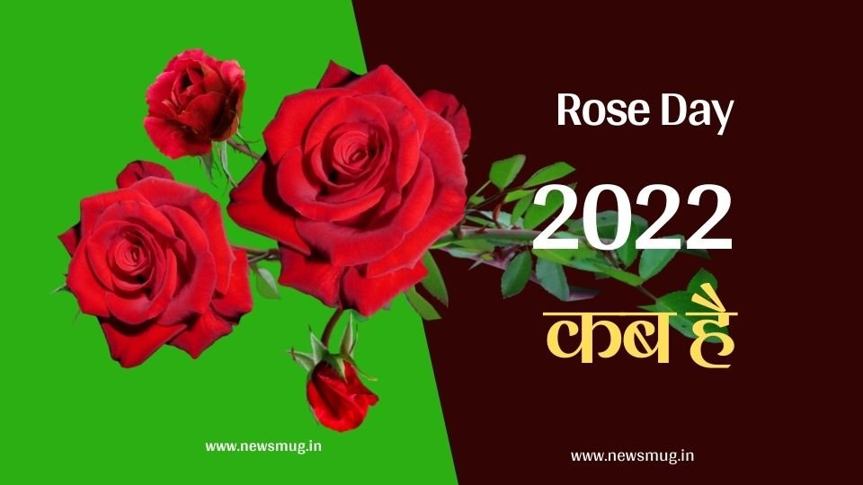 rose-day-kab-manaya-jata-hai