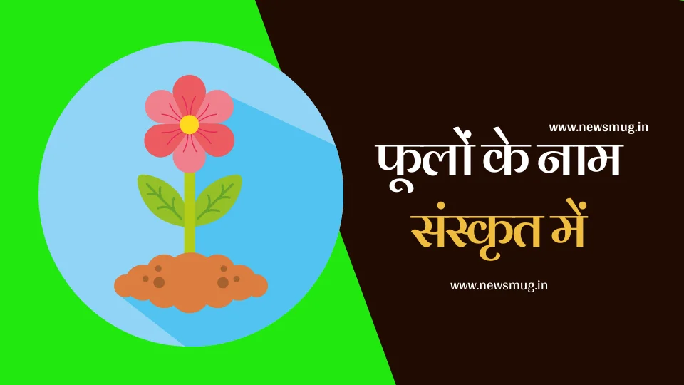 Names of Flowers in Sanskrit | फूलों के नाम संस्कृत में | Phoolon Ke Naam in Sanskrit Names of Flowers in Sanskrit