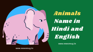 animals-name-in-hindi-to-english