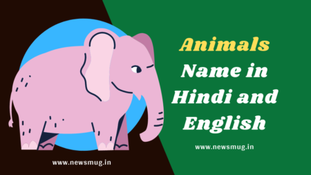 animals-name-in-hindi-to-english
