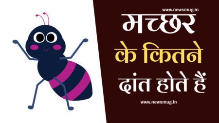 machhar-ke-kitne-dant-hote-hai