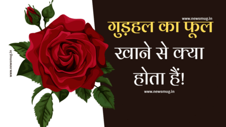 gudhal-ka-phool-khane-se-kya-hota-hai
