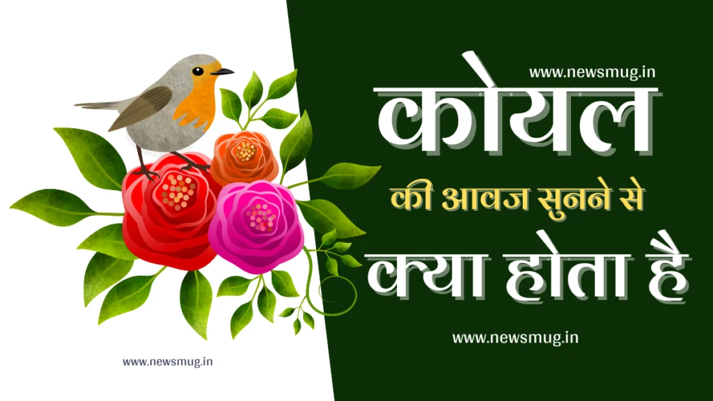 koyal-ki-awaz-sunne-se-kya-hota-hai