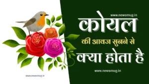 koyal-ki-awaz-sunne-se-kya-hota-hai