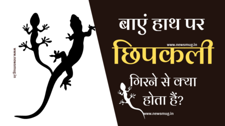 बाएं हाथ पर छिपकली गिरने से क्या होता है- गिरने के बाद क्या करें, शुभ-अशुभ