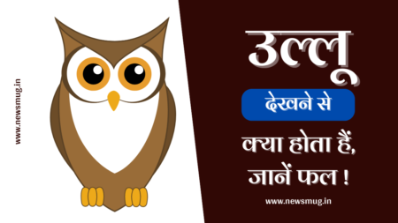 उल्लू देखने से क्या होता है – देखना कैसा होता है, शुभ अशुभ, सपना, वाहन ullu-dekhne-se-kya-hota-hai