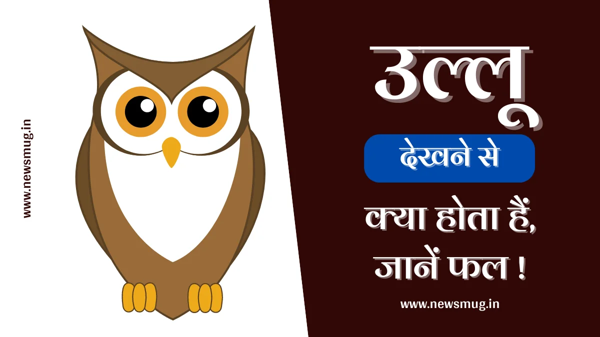 ullu-dekhne-se-kya-hota-hai