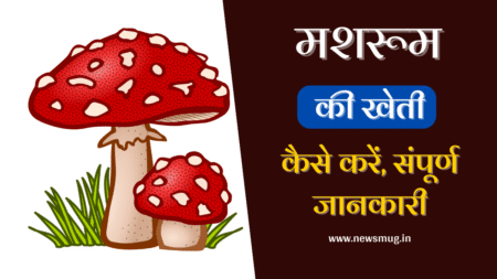 मशरूम की खेती करके लाखों कैसे कमायें – Mushroom Ki Kheti Kaise Kare mushroom-ki-kheti-kaise-kare-in-hindi