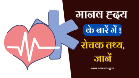 दिल (मानव हृदय) के बारे में मजेदार रोचक तथ्य – Amazing Facts About Human Heart In Hindi amazing-facts-about-human-heart-in-hindi