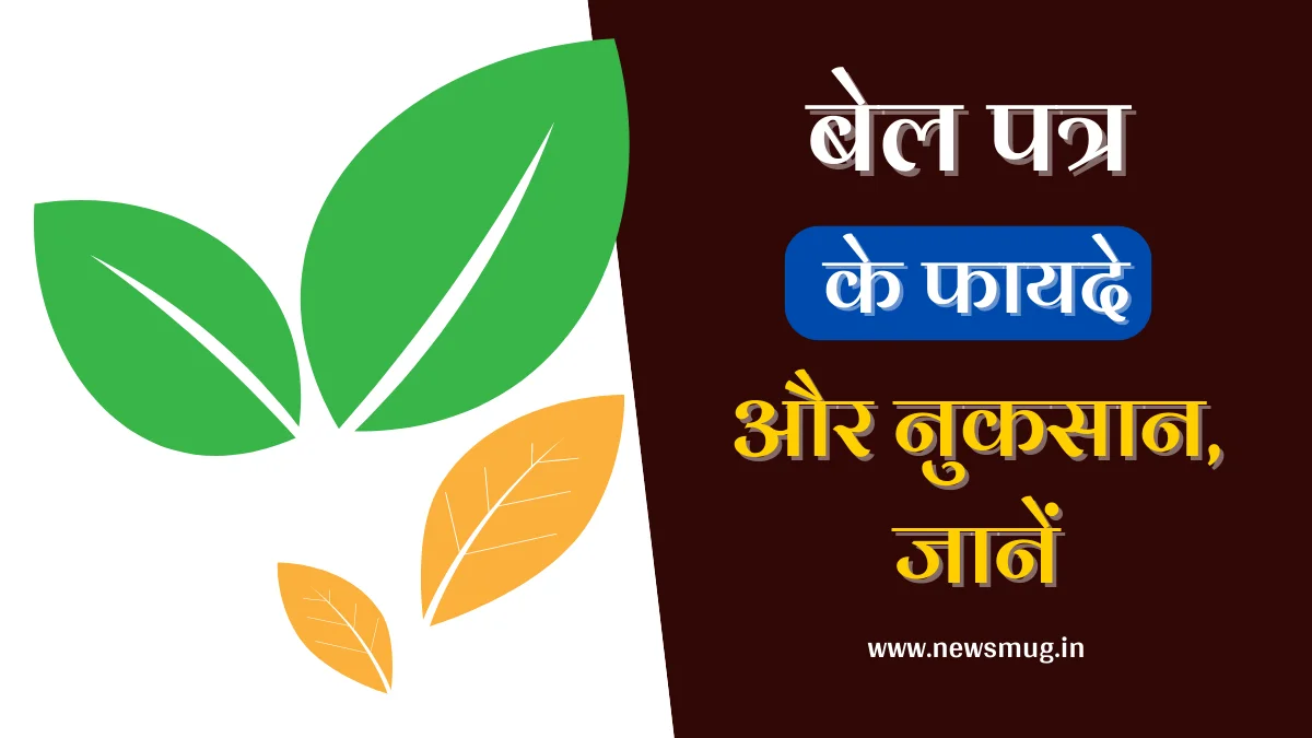 bilva-leaves-benefits-and-side-effects-in-hindi