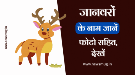  Wild Animals Name in Hindi and English: १००१+ जंगली जानवरों के नाम, चित्र और अद्भुत तथ्य (Mega Guide 2026)