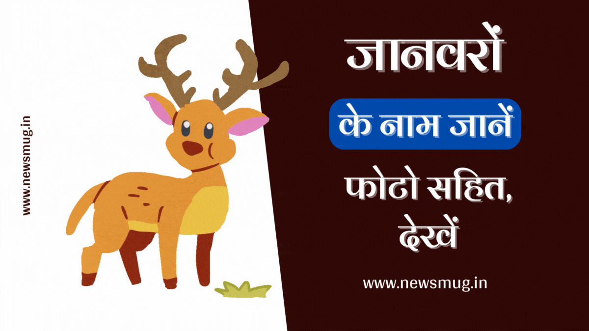 wild-animals-name-in-hindi-and-english