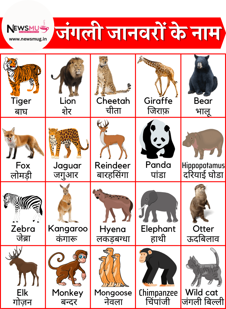 30 Wild Animals Name In Hindi And English News Mug 30-wild-animals-name-in-hindi-and-english-news-mug