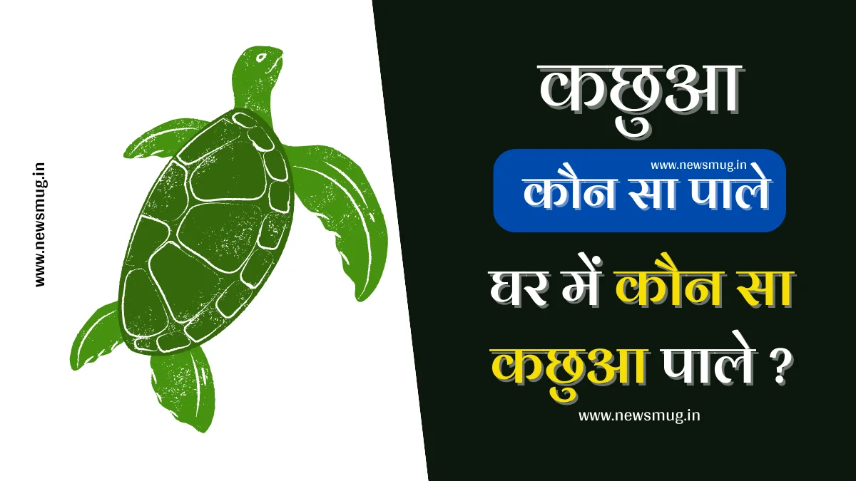 ghar-me-kachua-pal-sakte-hai-kya