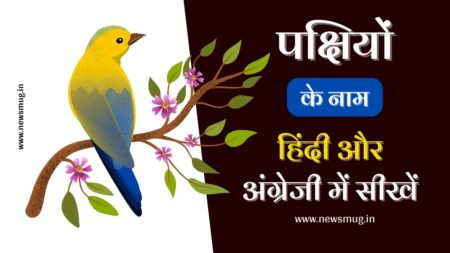 birds-name-in-hindi-and-english